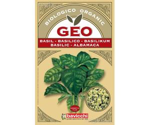 Semences germinado Basilico, bavicchi Geo, 5 g