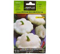 Semences horticoles de Batlle Citrouille Pâtisson blanc Peter Pan (6g)