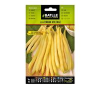 Semences horticoles de Batlle - Haricot nain Ilerda jaune (25g)