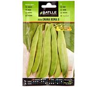 Semences horticoles de Batlle - Haricot nain Rome Perona (25g), Blanc