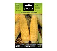 Semences horticoles de Batlle - Maïs doux Golden Bantam (10g), doré