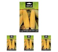 Semences horticoles de Batlle - Maïs doux Golden Bantam (10g), doré (Lot de 4)