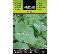 Semences hoticoles de Batlle - Navet-Chou/Rutabaga (10g), bleu