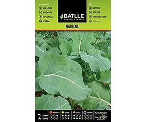 Semences hoticoles de Batlle - Navet-Chou/Rutabaga (10g), bleu