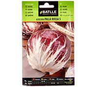 Semences potagères de Batlle - Chicorée Palla Rossa 5 (8g)