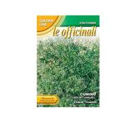 Sementi Di Cumino Orto Officinali Giardino Semi Seeds Multicolore