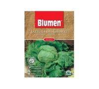 Sementi Di Lattuga Dei Ghiacci Iceberg Biologici Orto Giardino Semi Blumen