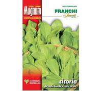 Semi Cicoria Taglio Bionda A Foglia Larga Busta Magnum Franchi Sementi