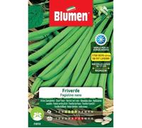 SEMI DI FAGIOLINI NANI FRIVERDE BLUMEN