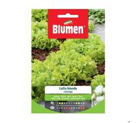 SEMI LATTUGA LOLLO BIONDA BLUMEN SEMENTI ORTO