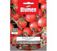 SEMI POMODORO SCINTILLA NANO F1 BLUMEN SEMENTI ORTO
