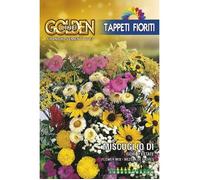 Semi Set Fiori D'estate Miscuglio Di Sementi Franchi Sementi Multicolore