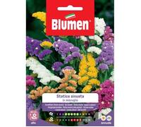 Semi Statice Sinuata Mix Sementi Blumen Fiori Multicolore
