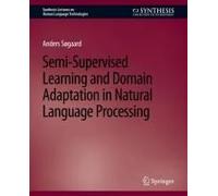 Semi-Supervised Learning And Domain Adaptation In Natural Language Processing