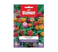 SEMI ZINNIA LILLIPUT MIX BLUMEN SEMENTI FIORI
