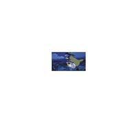 Semic laminage Ghibli - TOTORO PARAPLUIE - 38x21 cm