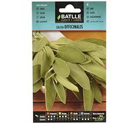 Semillas aromáticas de Batlle - Salvia Officinalis (1,5g), Vert