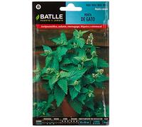 Semillas aromáticas de Battle - Menta de Gato (1g), vert