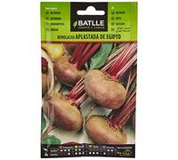 Semillas Batlle Betterave Table écrasée Égypte (Lot de 6)