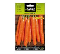 Semillas Batlle Carottes de Nantes 5 - Cylindre