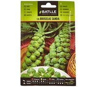 Semillas Batlle Chou DE Bruxelles Sanda