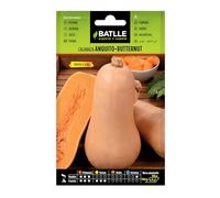 Semillas Batlle Citrouille Anquito-Butternut, Orange