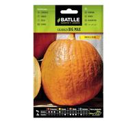 Semillas Batlle Citrouille Big Max