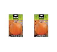 Semillas Batlle Citrouille Halloween (Lot de 2)