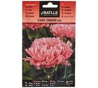 Semillas Batlle Clou Chabaud rose