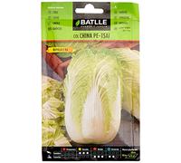 Semillas Batlle - Col Chinois Pet-Sai, Vert