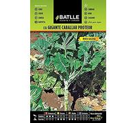 Semillas Batlle - Col Chou proteor géant caballar