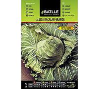 Semillas Batlle - Col Grand Chou Bacalan