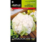 Semillas Batlle - coliflor Métropolitain (Mars-Avril)