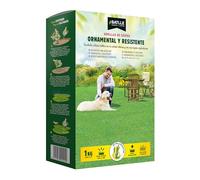 Semillas Batlle Gazon décoratif Robuste 1 kg, Vert