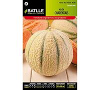 Semillas Batlle Graines de Melon Charentais, Blanc/Vert