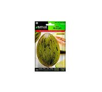 Semillas Batlle Graines de Melon Peau de Crapaud - Torpille, Verte