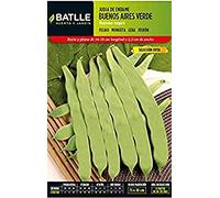 Semillas Batlle Judia Buenos Aires Vert S.Evita