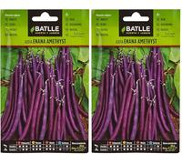 Semillas Batlle Judia Enana Violet Amethyst (Lot de 2)