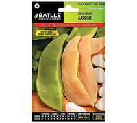 Semillas Batlle Judia GARRAPHE Type PELADILLA, Blanc