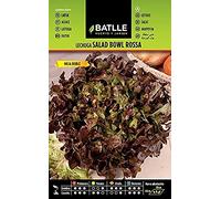 Semillas Batlle Laitue Batavia Bol de Salade Rouge