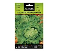 Semillas Batlle Laitue Batavia Doré - Printemps