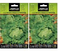 Semillas Batlle Laitue Batavia Doré - Printemps (Lot de 2)