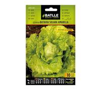 Semillas Batlle Laitue Batavia Solara Jaune, Citronier