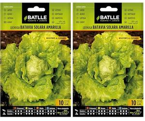 Semillas Batlle Laitue Batavia Solara Jaune (Lot de 2)