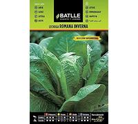 Semillas Batlle - Laitue Romaine Inverna - Superinverna