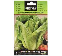 Semillas Batlle LAITUE Romaine Longue Vert Clair