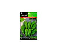 Semillas Batlle Piment DE PADRÓN, Verte