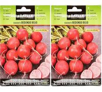 Semillas Batlle Radis Rond Rouge Special (Lot de 2)
