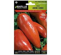 Semillas Batlle Semences de tomates Andine Cornue des Andes