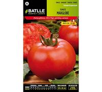 Semillas Batlle Semences de tomates Marglobe
